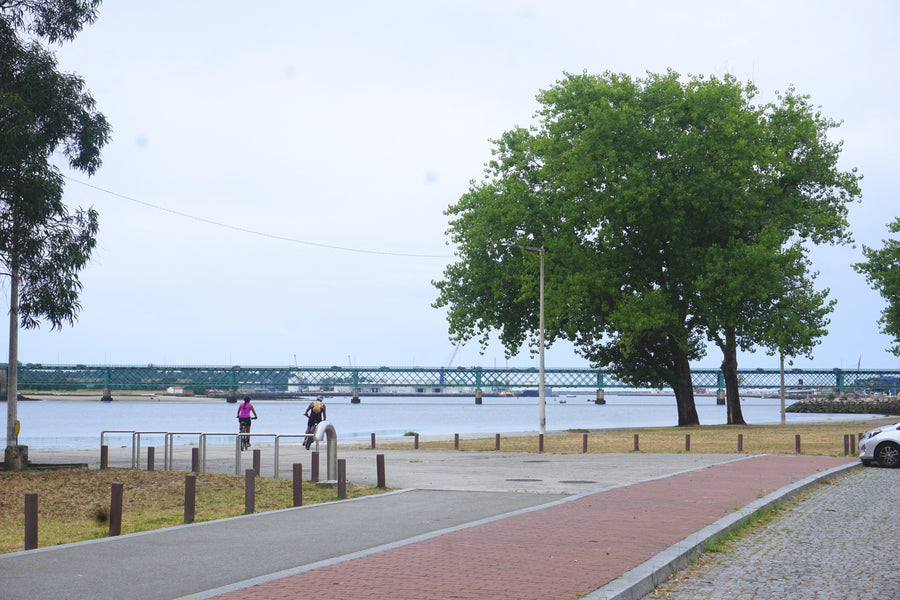 Parque da Cidade